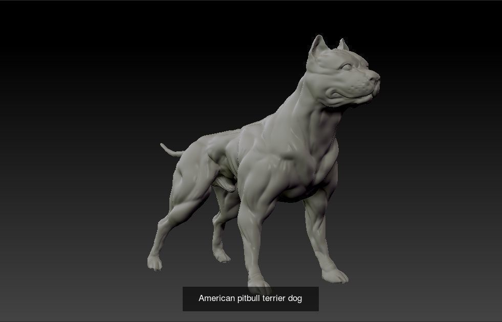 simple guard dog model 3D Model Collection_1