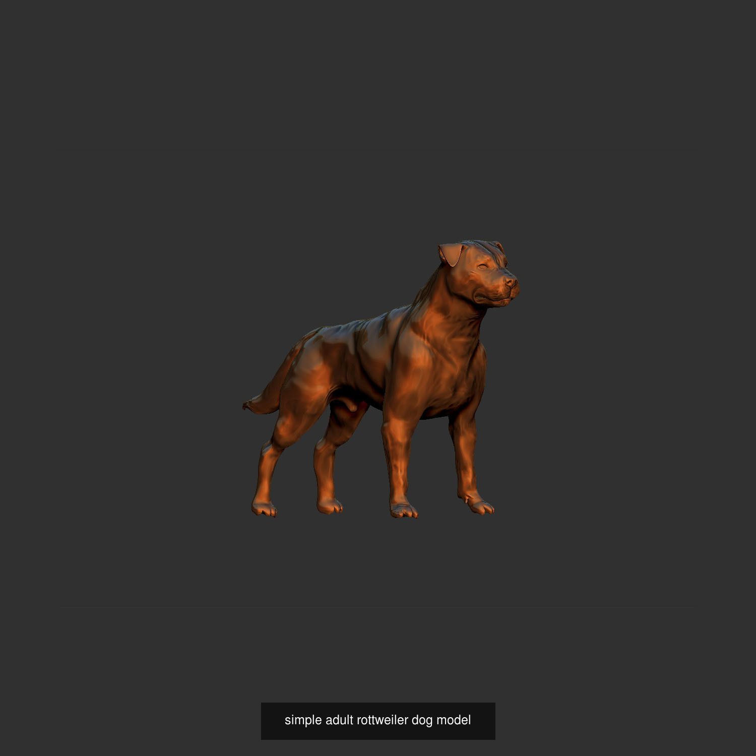 simple guard dog model 3D Model Collection_3