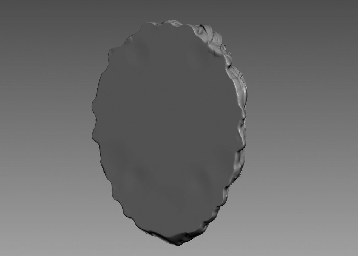 Lion Head Sculpture 3d print model 3D print model_26