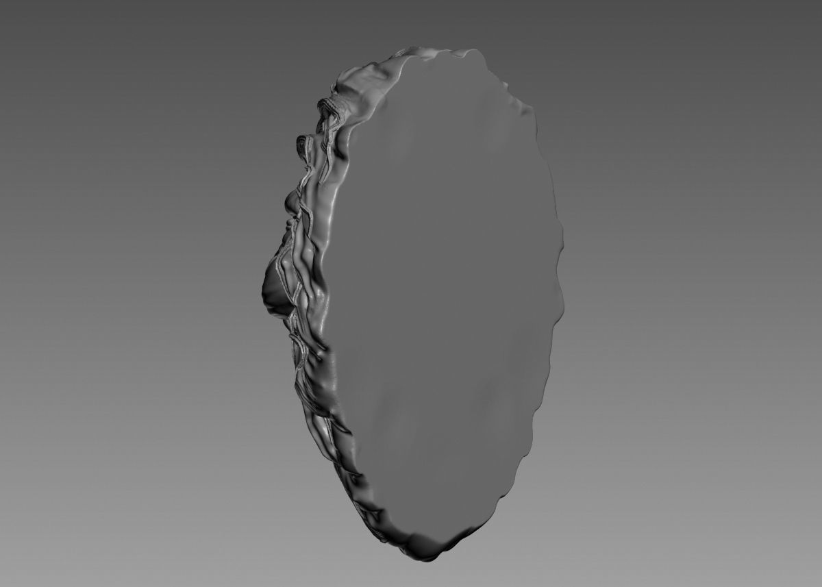 Lion Head Sculpture 3d print model 3D print model_36