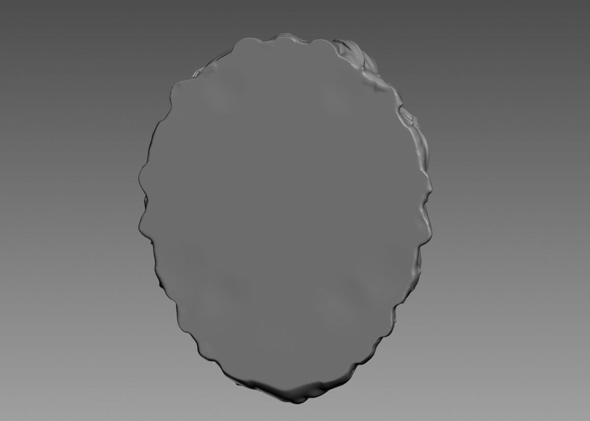 Lion Head Sculpture 3d print model 3D print model_28