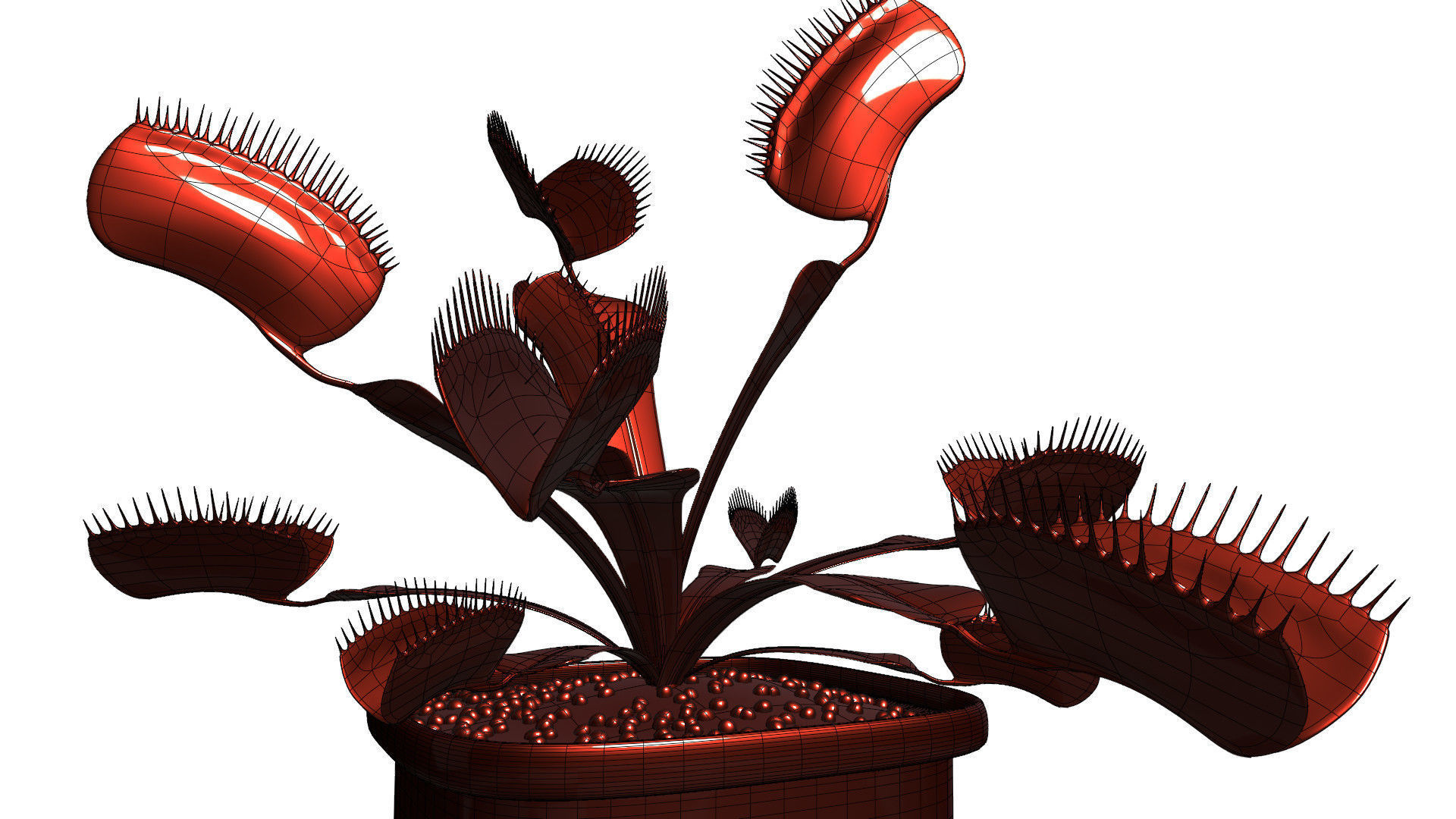 Venus flytrap 3D model_18