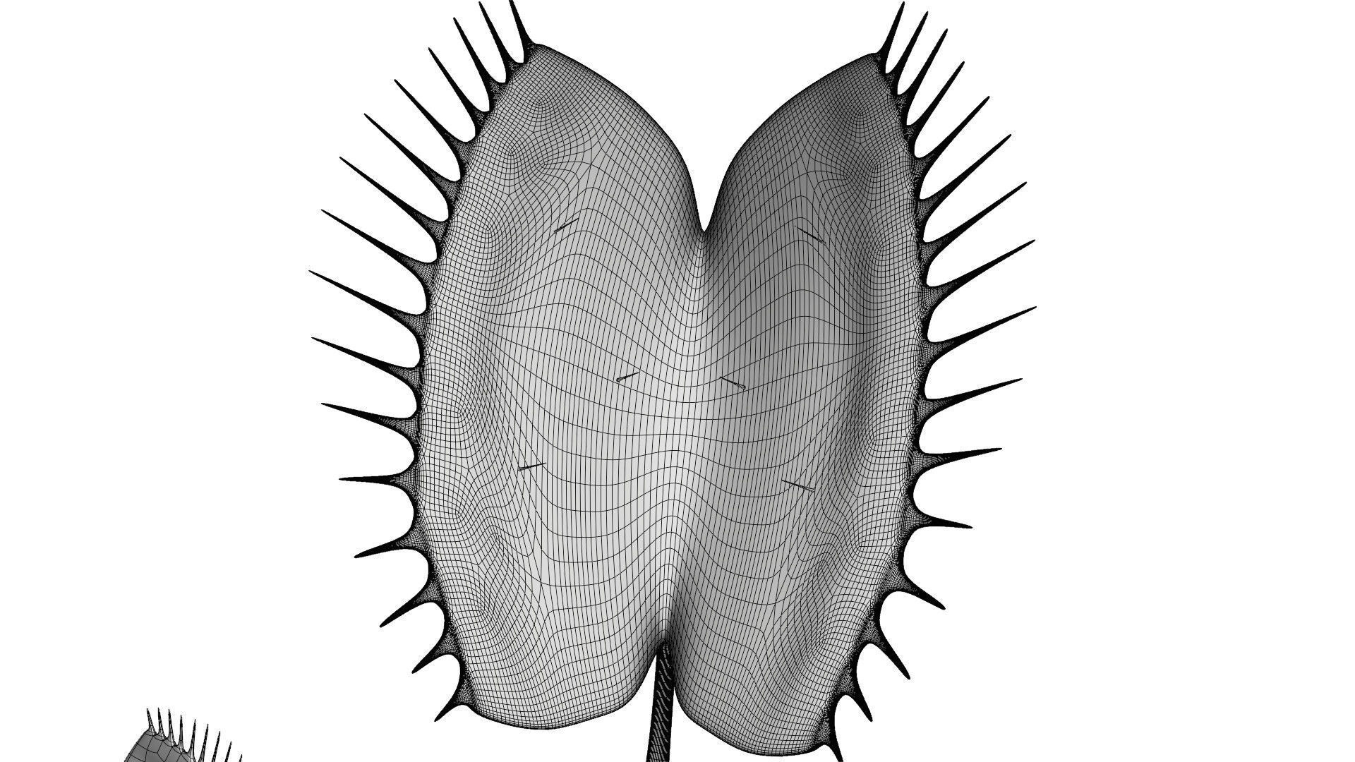 Venus flytrap 3D model_13