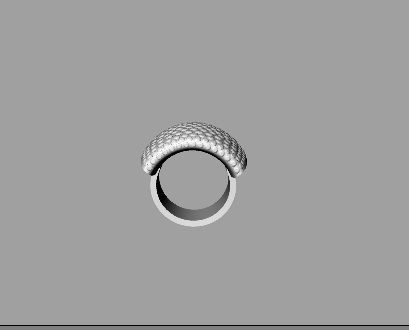 rings -CG172 3D print model_2