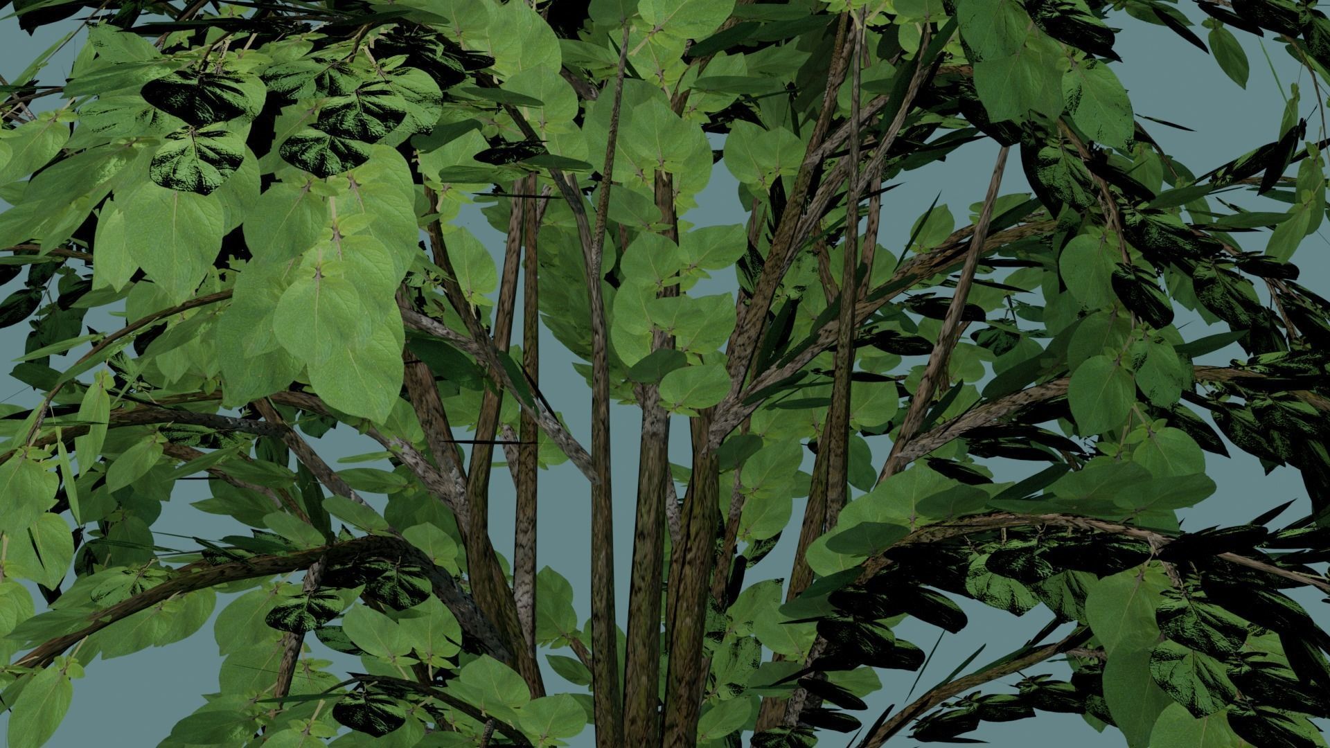 Simple and realistic tree 3D model_1