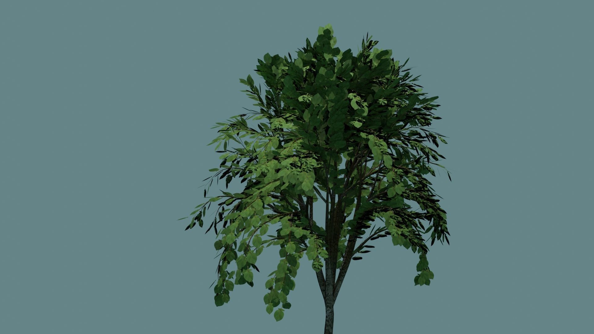Simple and realistic tree 3D model_2