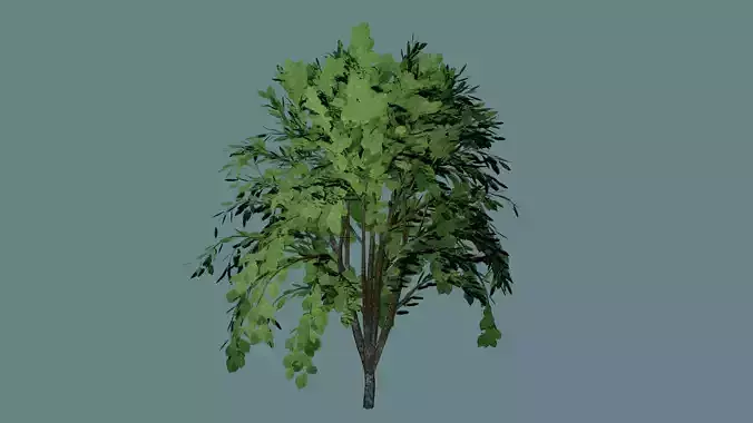 Simple and realistic tree 3D model
