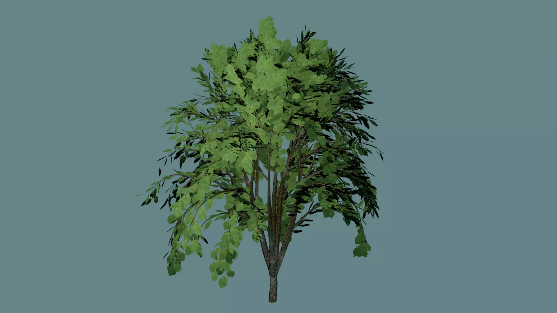 Simple and realistic tree 3D model_0