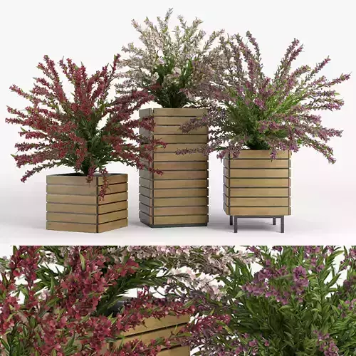 Weigela wooden planter with flowers