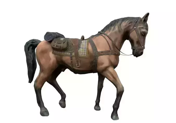 HORSE with saddle