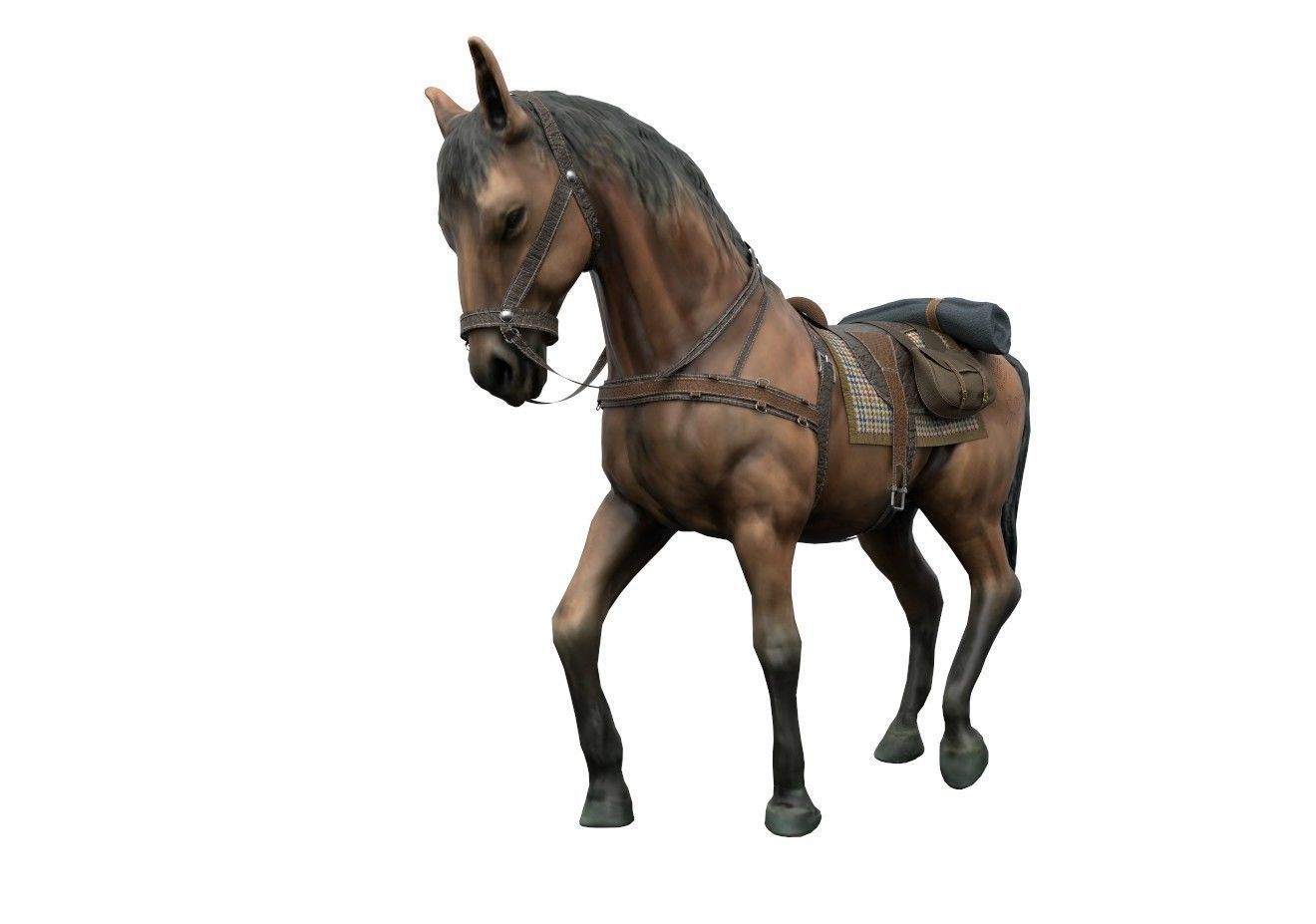 HORSE with saddle 3D model_1