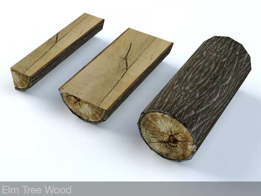 Elm Tree Fire Wood Low-poly 3D model_0