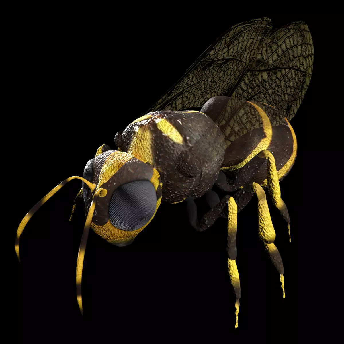 Honeybee Low poly and fully rigged Low-poly 3D model_0