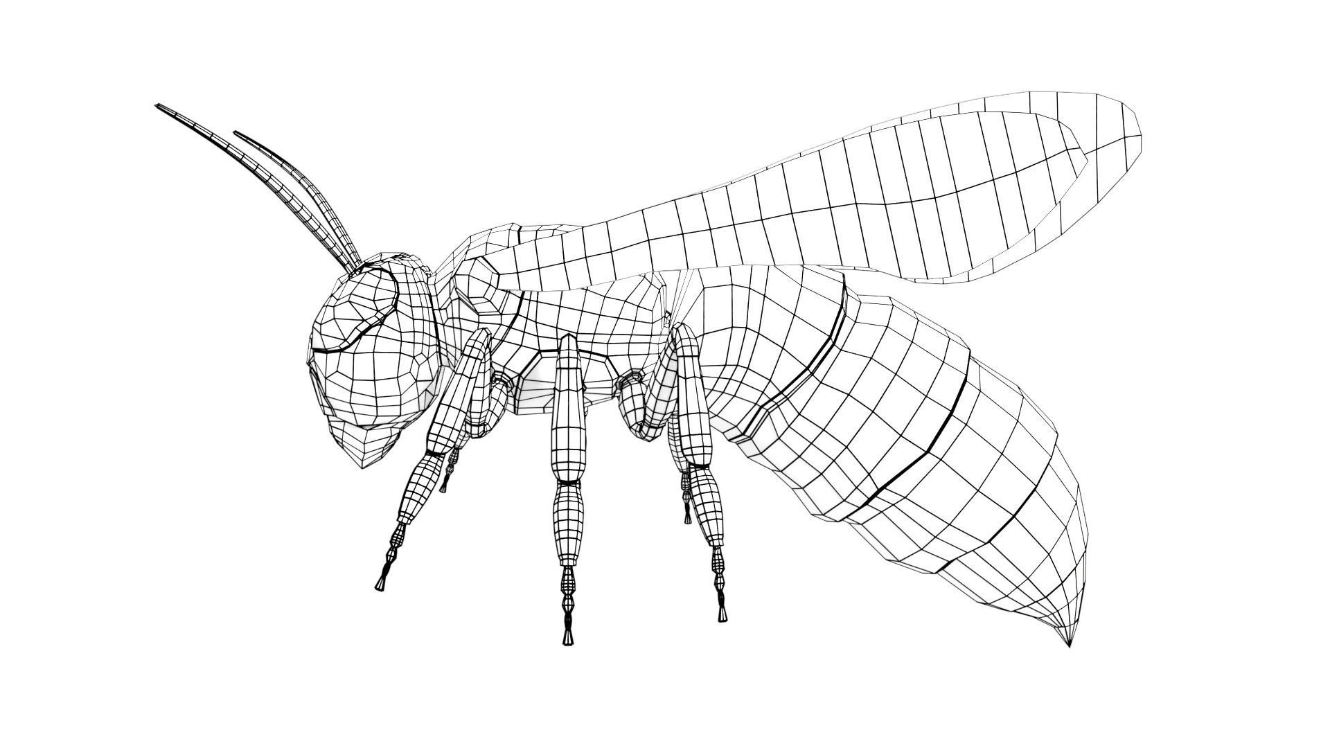 wasp low poly and fully rigged Low-poly 3D model_6