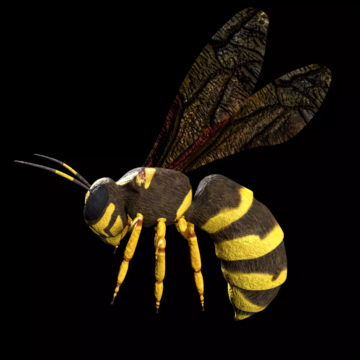 wasp low poly and fully rigged Low-poly 3D model_0