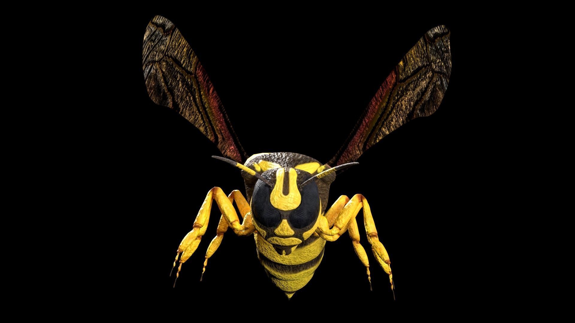 wasp low poly and fully rigged Low-poly 3D model_4