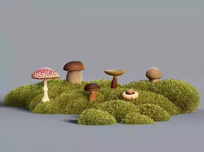 6 Common Forest Mushrooms with LODs and Textures