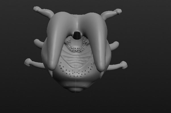 Reaper beholder 3D model_2