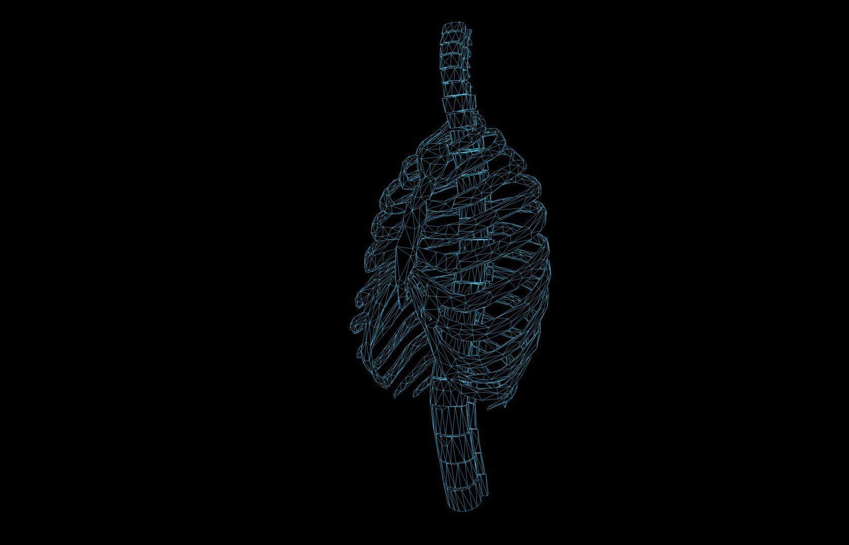 Rib Cage Accurate 3d Model With Verterbrae and Ribs 3D model_1