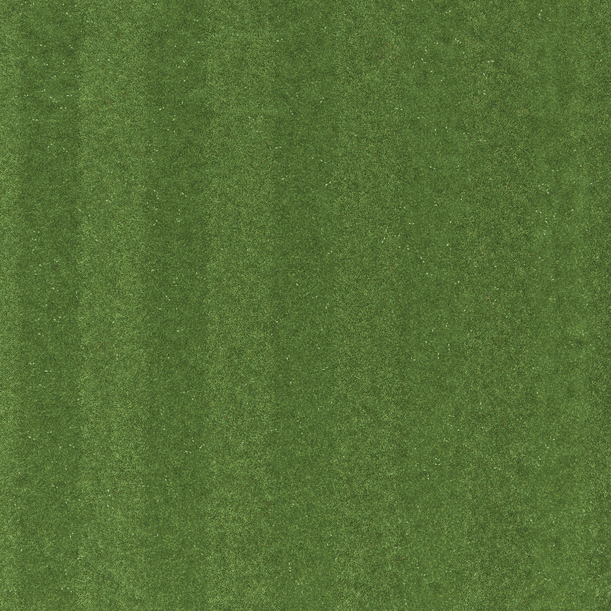 Lawn grass 3D model_7