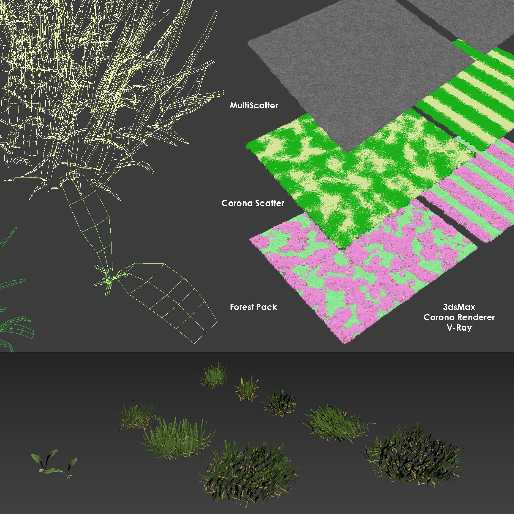 Lawn grass 3D model_4