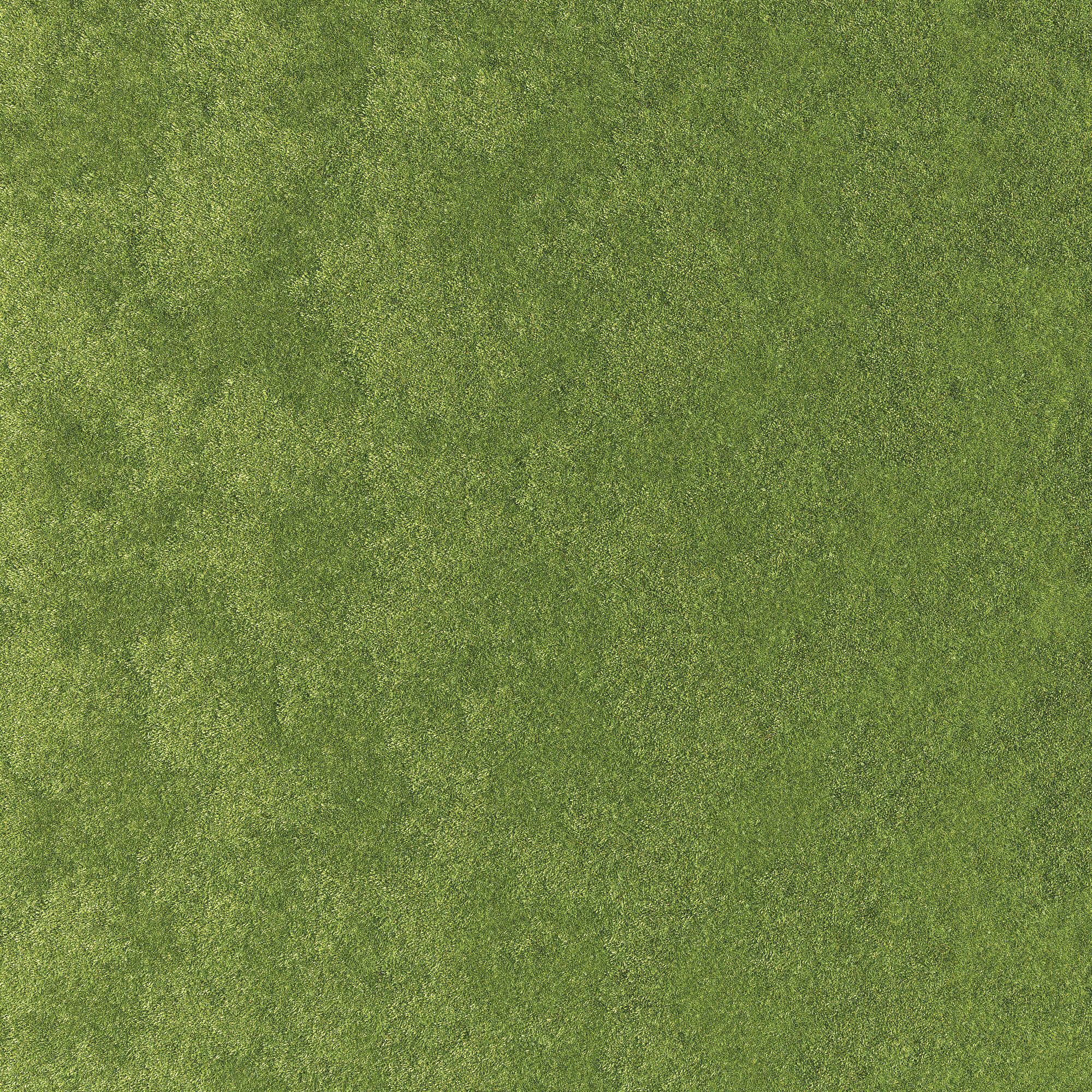 Lawn grass 3D model_8