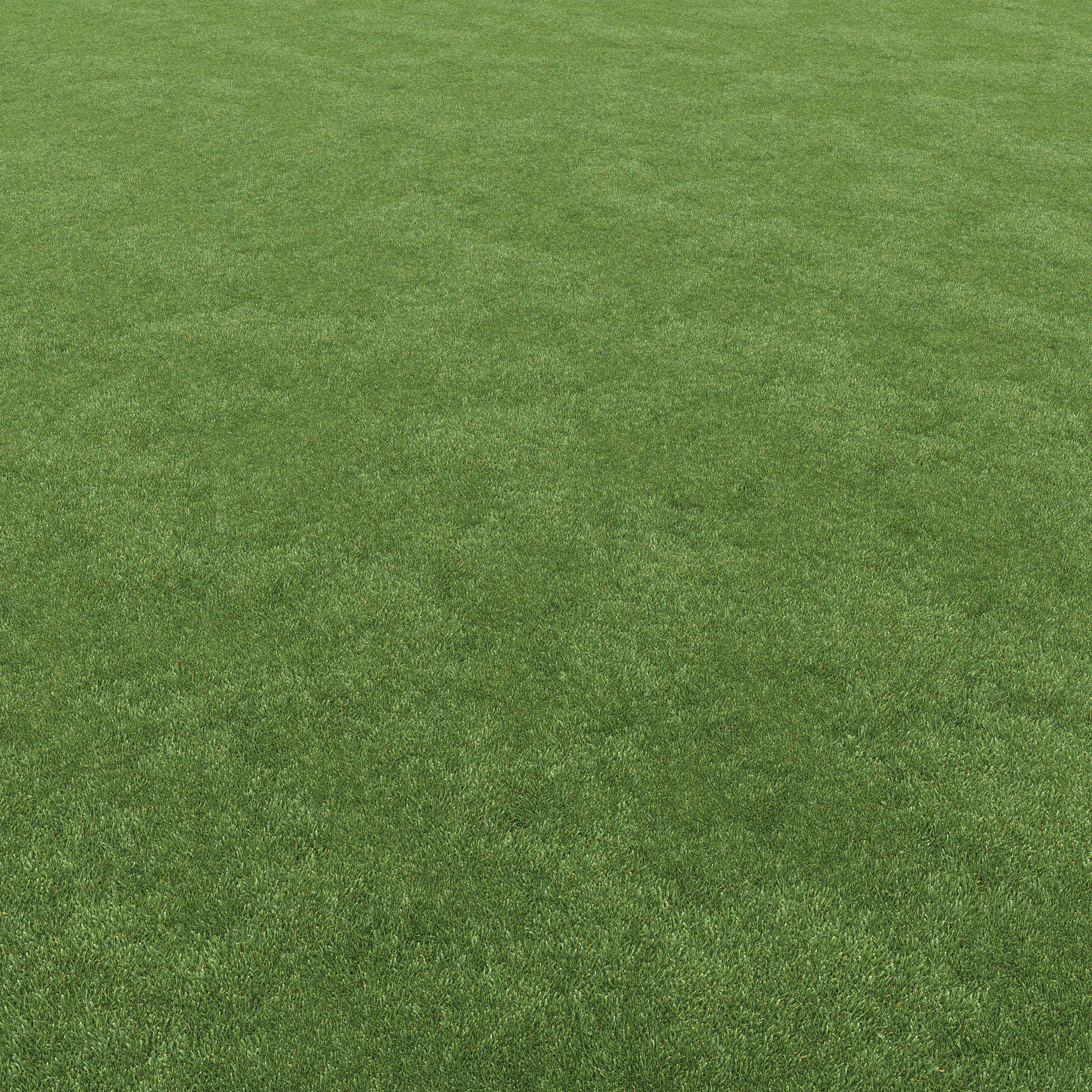 Lawn grass 3D model_13