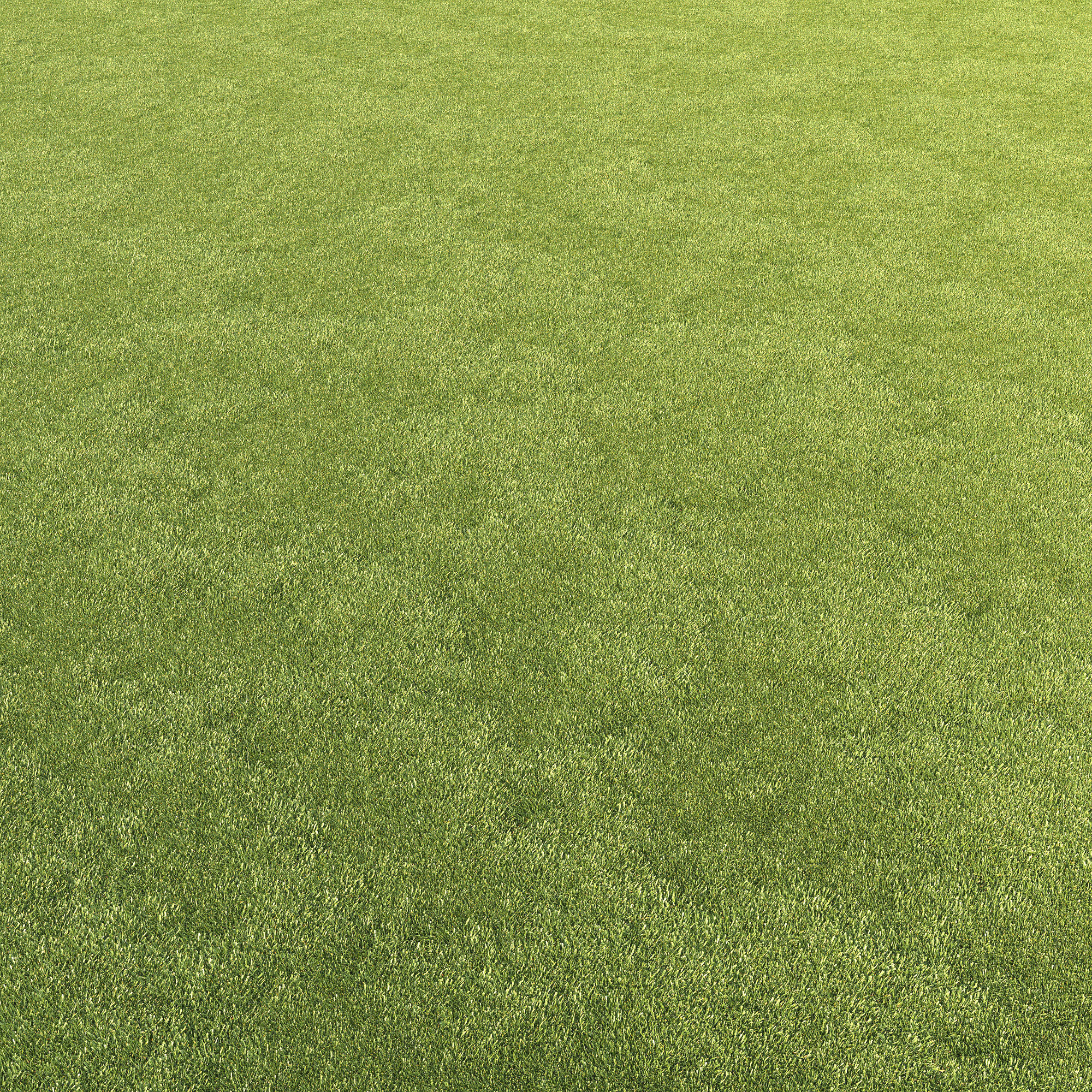 Lawn grass 3D model_14