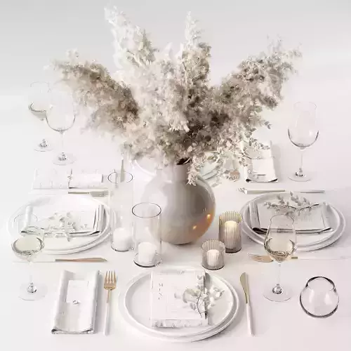 Servirovka table setting for dinner party
