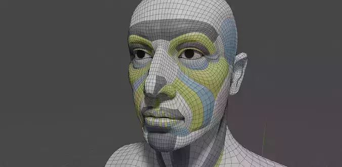Generic head with anatomically based-topology 
