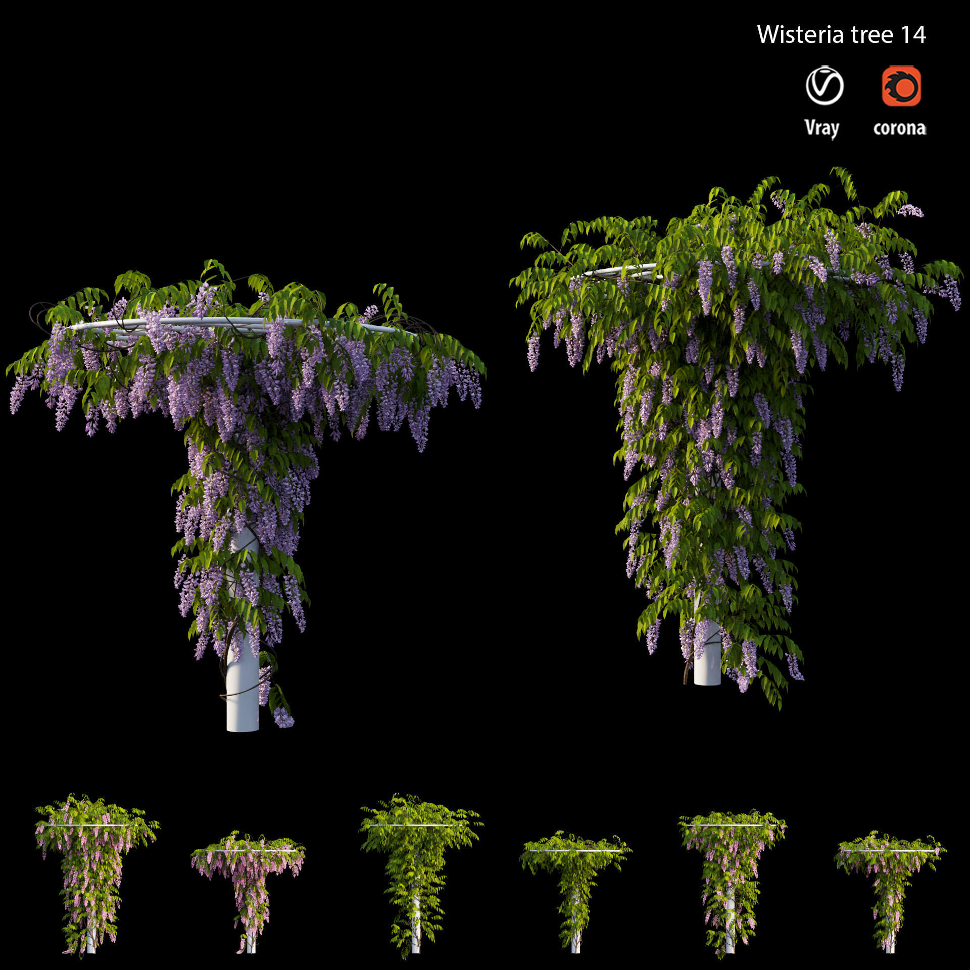 Wisterial tree 14 3D model_2