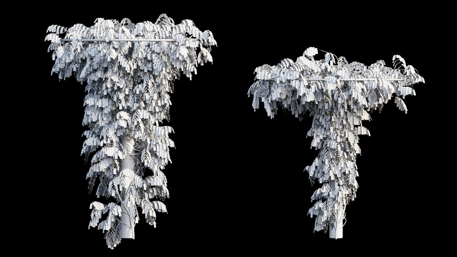 Wisterial tree 14 3D model_20