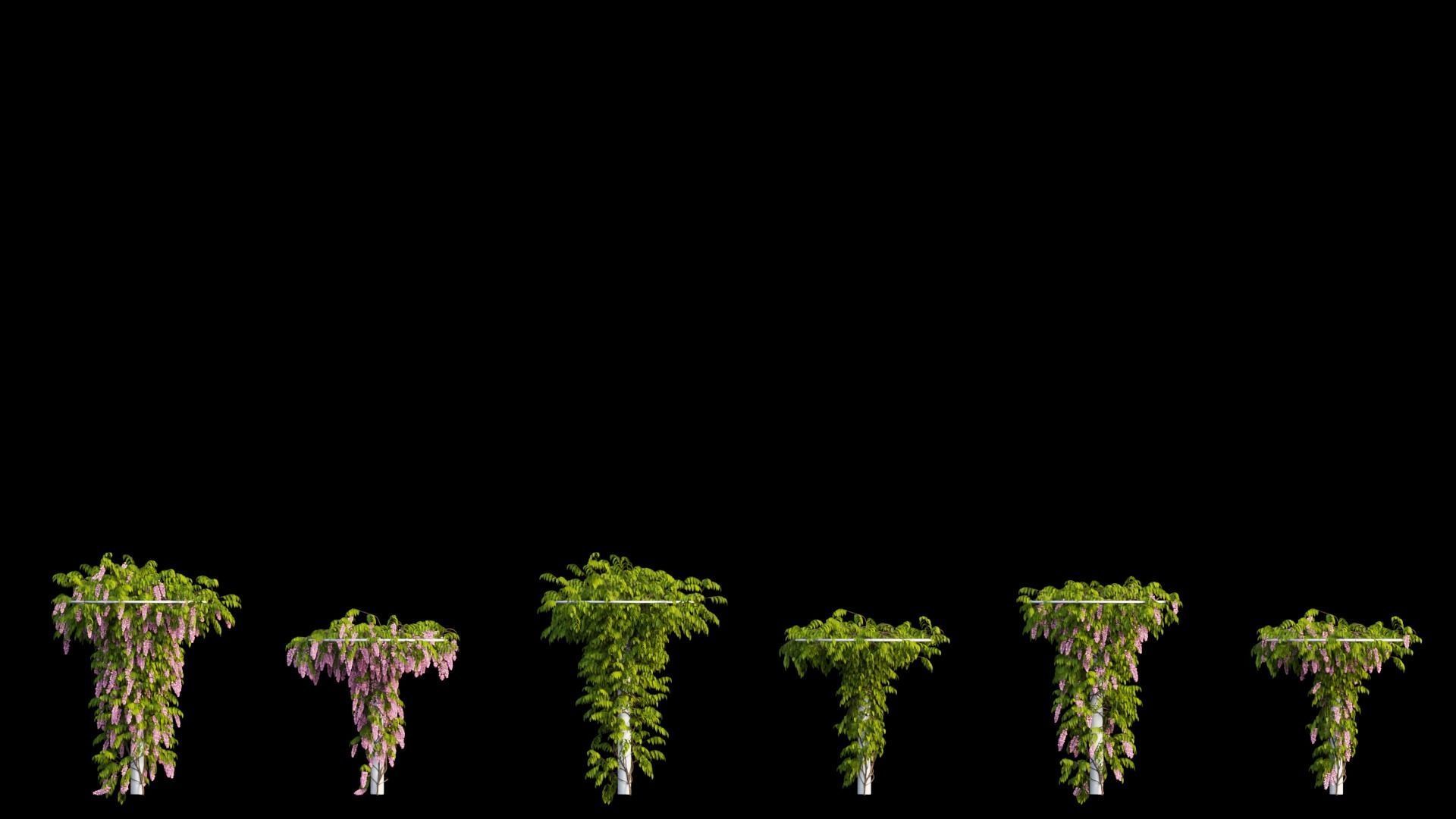 Wisterial tree 14 3D model_11