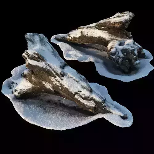 low poly Snow-covered wood drift