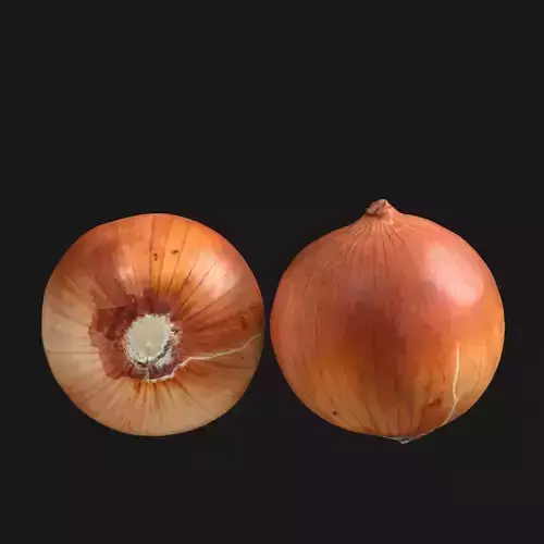 Onion Photorealistic 3D model