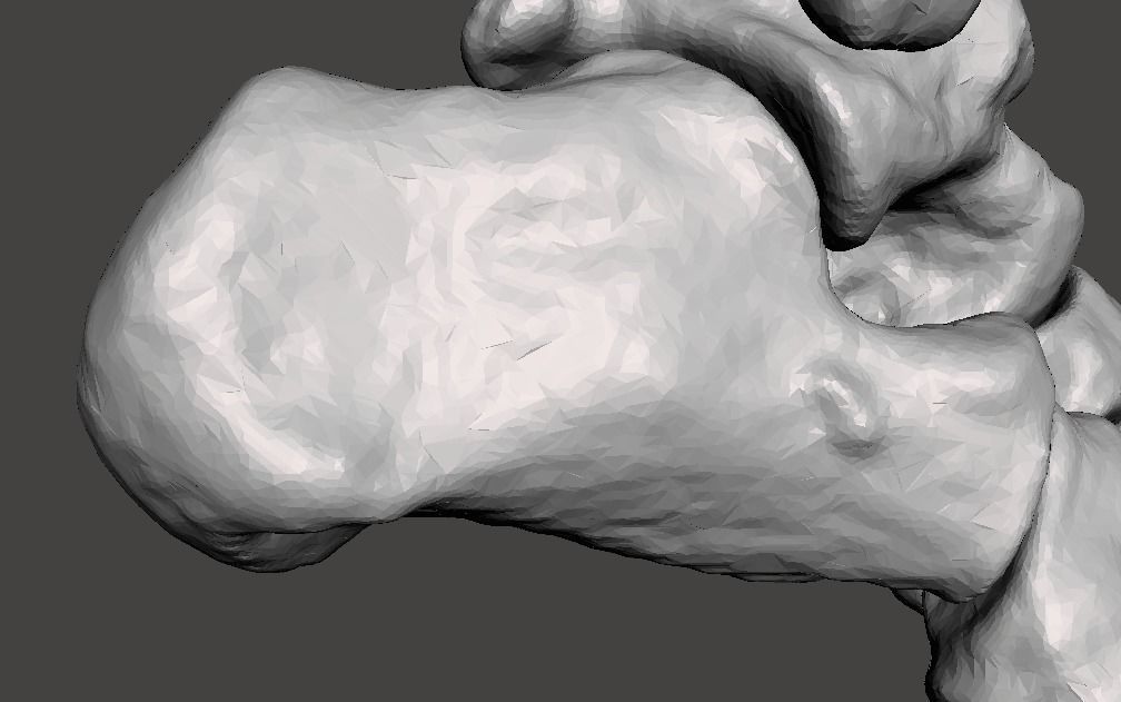 Right Foot - male 3D model_18