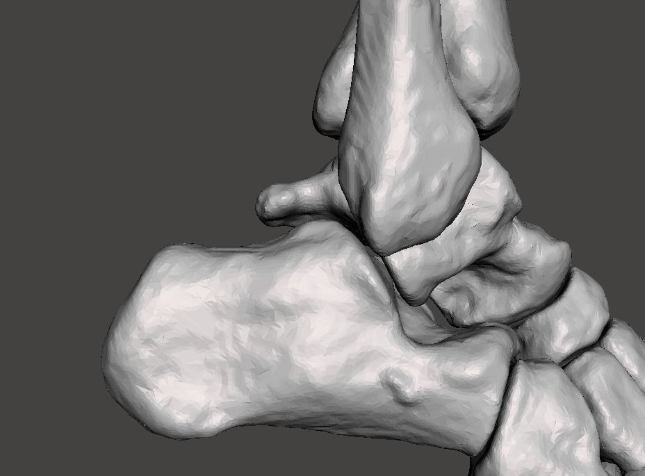 Right Foot - male 3D model_19