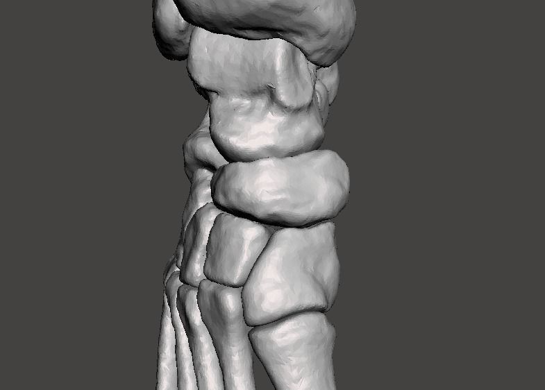 Right Foot - male 3D model_1