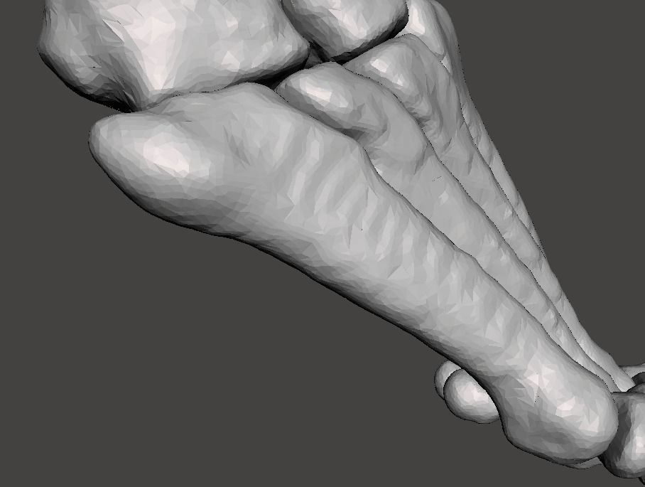 Right Foot - male 3D model_15