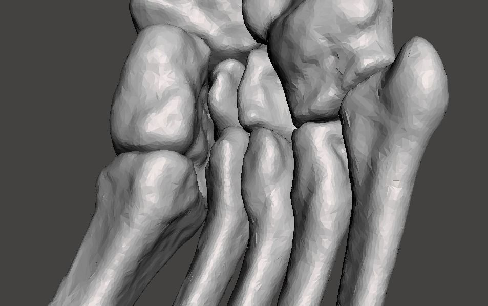 Right Foot - male 3D model_14