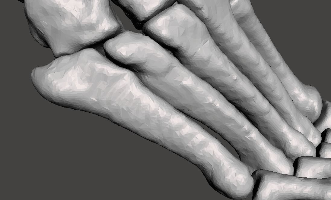 Right Foot - male 3D model_16