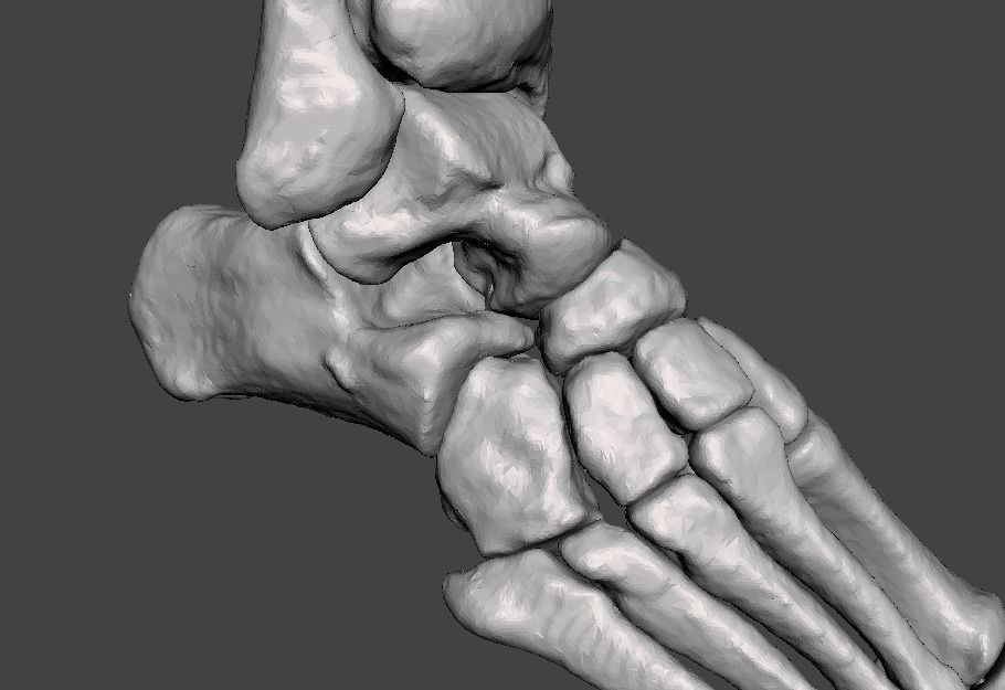 Right Foot - male 3D model_26