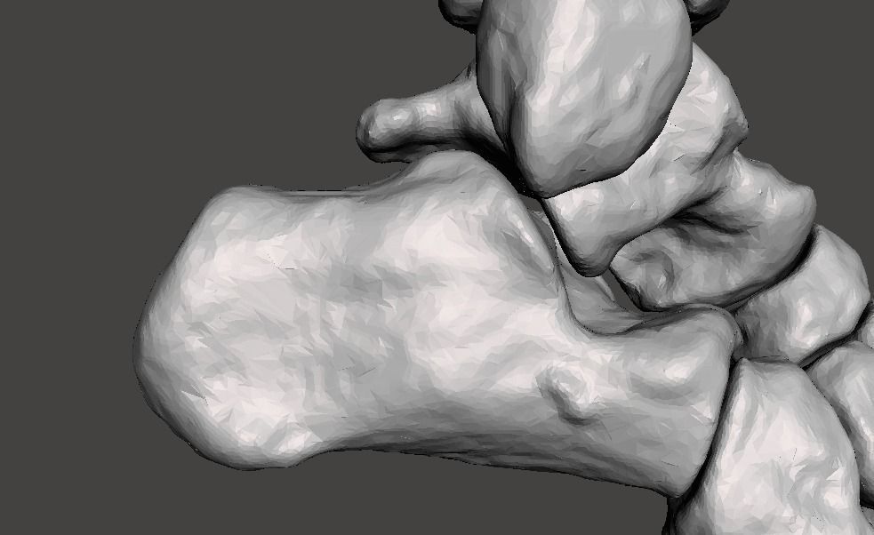Right Foot - male 3D model_12