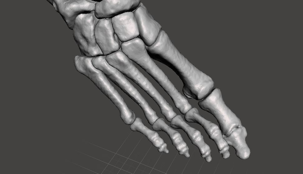 Right Foot - male 3D model_11