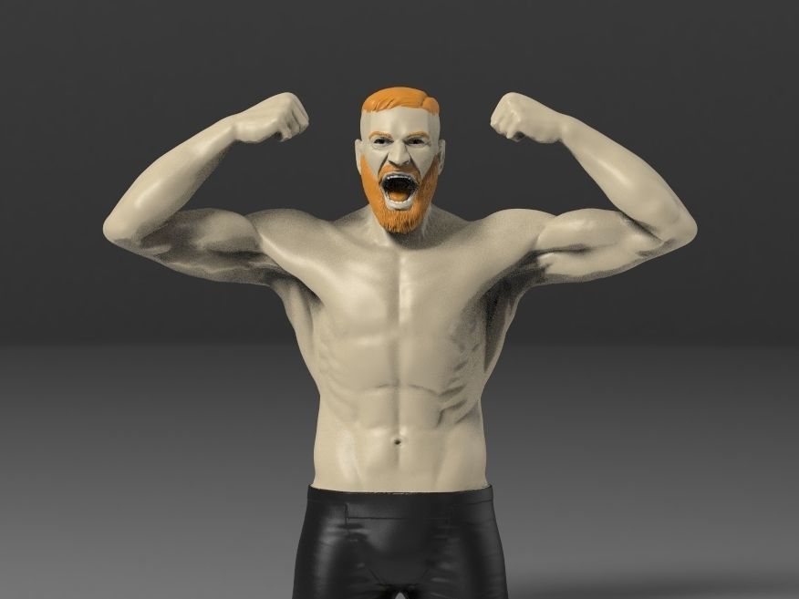 CONOR MCGREGOR 3D print model