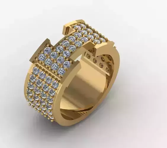 HERMES RING Print