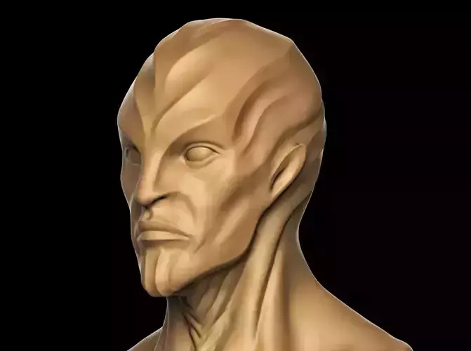 Creature Bust