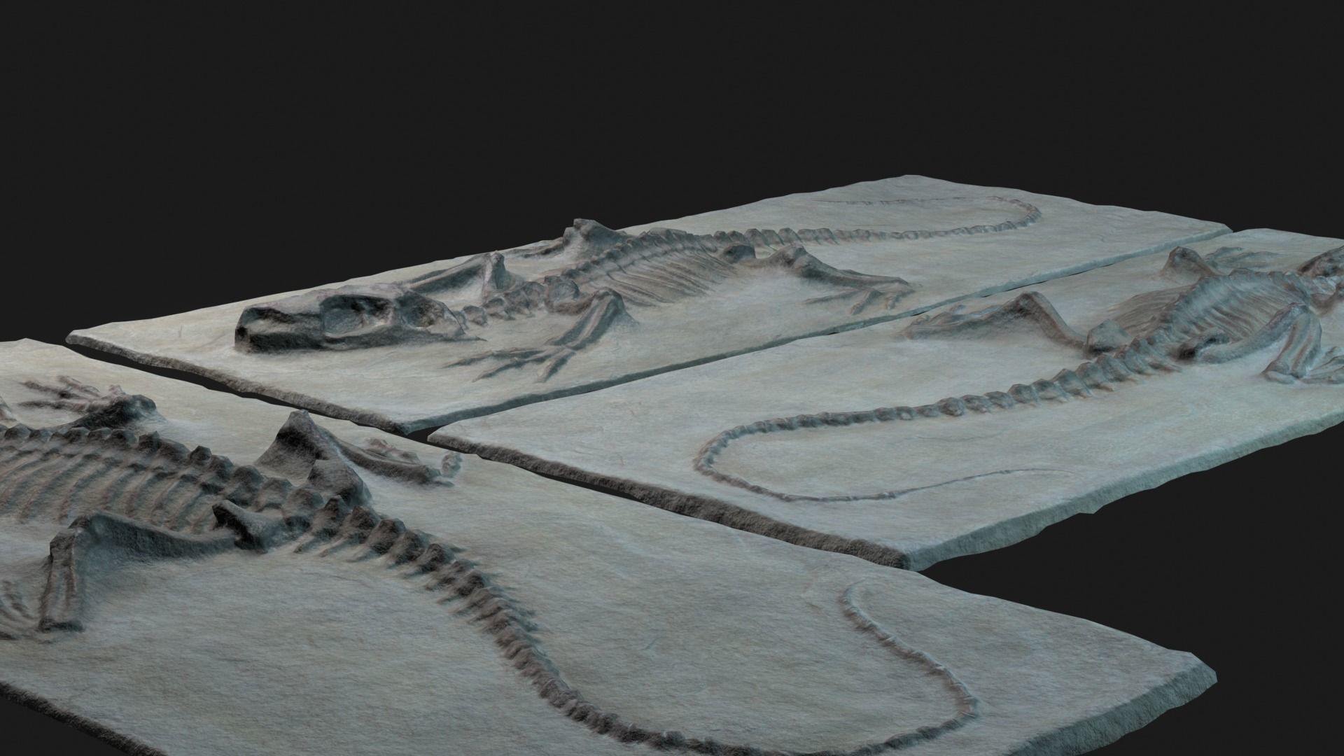 Lizard 3d scan Low-poly 3D model_3