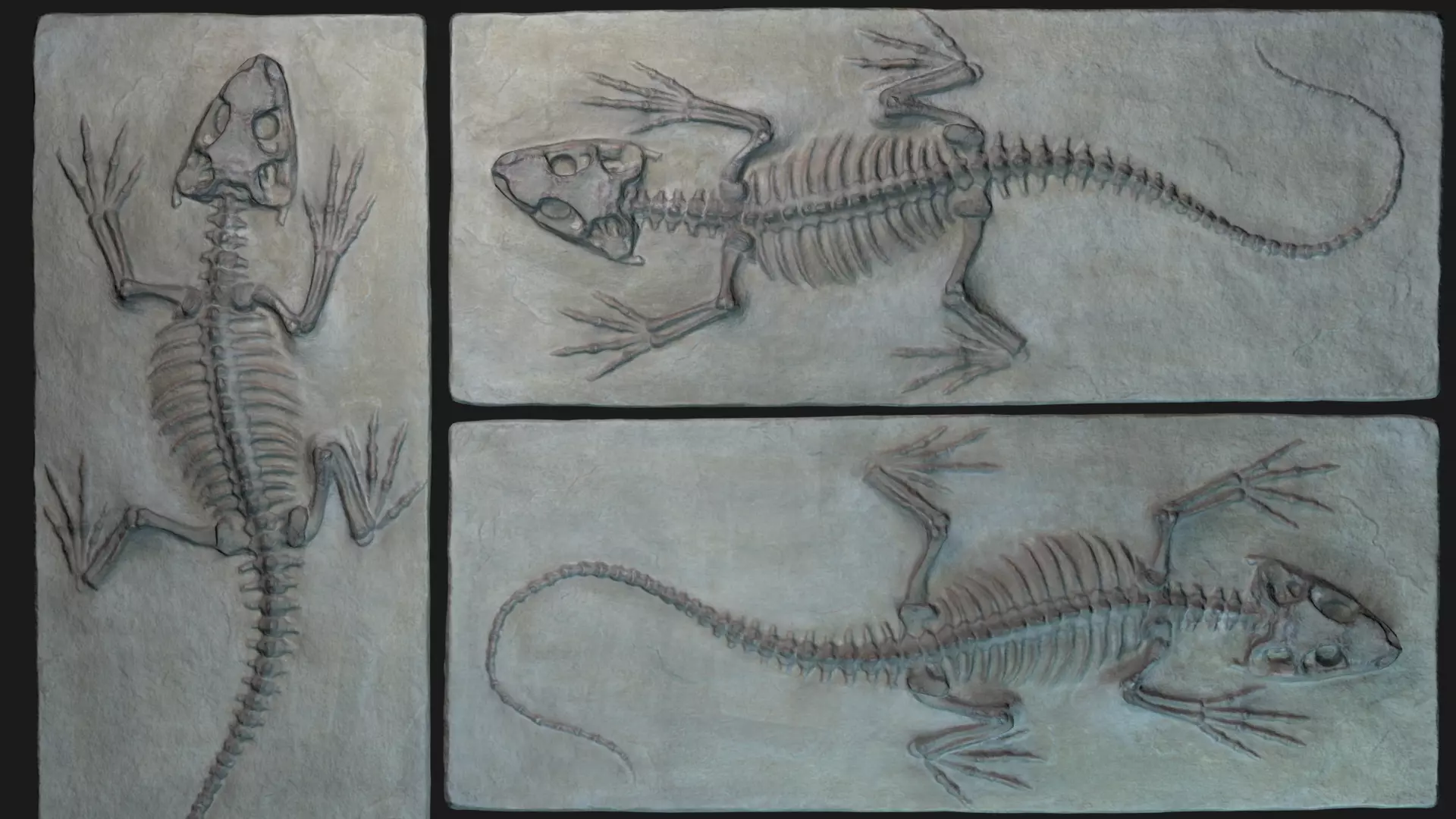 Lizard 3d scan Low-poly 3D model_0