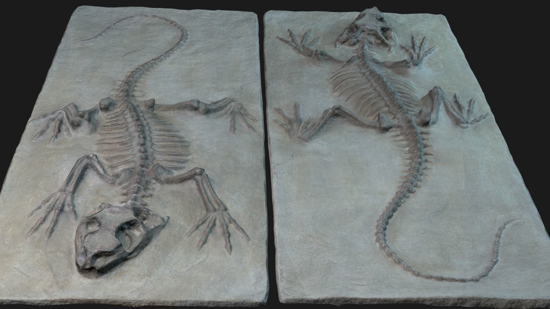 Lizard 3d scan Low-poly 3D model_2